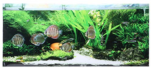 JOROBURO Aquarium-Poster, PVC-Kleber, Meeresboden, Kleine Fische, Wasserpflanzen, Aquarium-Hintergrund-Poster-Aufkleber, Aquarium-Dekoration, Tapetenaufkleber für Aquarium(122 * 50cm)