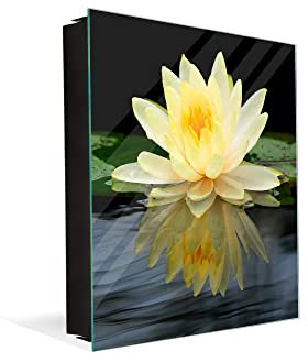 Nature Series Boîte à clés décorative avec tableau magnétique en verre effaçable à sec et affichage des clés avec style