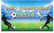 Banderines europeos del Campeonato de Fútbol 2024, banderas coloridas, banderines, guía de eventos, póster para fiesta de fútbol