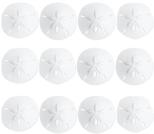 Nautical Crush Trading Sand Dollar | Dollars réel de Sable 2 1/2 à 3 (Ensemble de 12) | Coquilles Sand Dollar | De Plus Gratuit Nautique Ebook par Joseph Pluies
