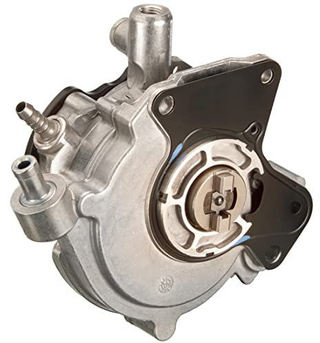 Pierburg 7.24807.25.0 Fuel And Vacuum Pump