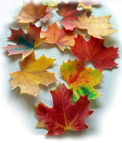 Anglesit 44 x Pre-cut Autumn Leaves Edible Rice/Wafer Paper Cupcake Toppers Cake Decorations Wedding Fall Party Birthday Leaf Decor