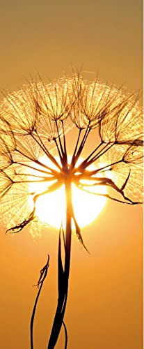 A.Monamour Türtapete Selbstklebend Türfolie Türposter 3D Weiße Löwenzahnblume Und Sonne Bei Sonnenuntergang Vinyl Folie Türdeko Tapete Wandbild Türaufkleber Türtattoo 85x200cm