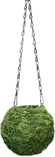 Super Moss (29348) Kokedama Maceta, 6, Fresh Verde