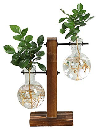 Delaspe Vases à Plantes Hydroponiques Pots en Verre Verticaux avec Cadre en Bois Vintage Adapté à La Décoration de Bureau de Jardin à La Maison