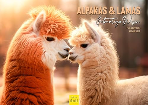 Edition Seidel Premium Kalender Alpakas & Lamas 2025 Format DIN A3 Wandkalender Tierkalender Südamerika Peru Anden Lama Alpaka Pako Kamele Lasttiere Melanie Viola