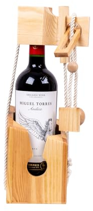 Vintage Marque Wooden Wine Puzzle Gift Set with Miguel Torres Andica Gran Reserva Carmenere 2022 75 cl Bottle - Brain Teaser Fun for Adults - Unique and Challenging Entertainment - Gift Idea
