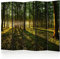 decomonkey Paravent Raumteiler Innen Wald 225x172 cm 5 Teilig Einseitig Room Divider Wall Raumteiler Stehend Trennwand Sichtschutz Spanische Wand Sichtschutzwand Wohnzimmer Holz Baum Sonne