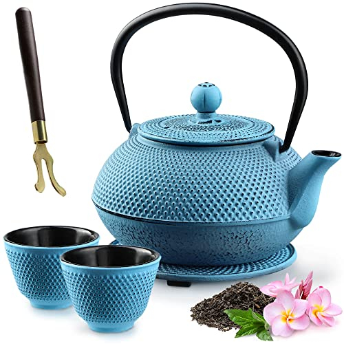 KADAX Teiera giapponese, 850 ml, bollitore in ghisa, diametro 15 cm, con filtro a rete e manico robusto, servizio da tè in stile giapponese, teiera tradizionale in ferro (blu)