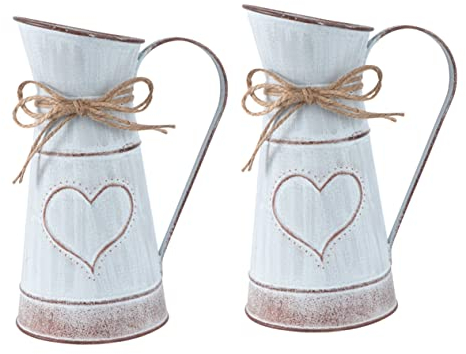 BESPORTBLE Lot De 2 Pots De Fleurs en Fer en Forme De Cœur pour Décoration Dintérieur