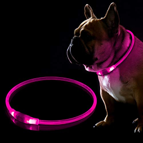 Collare per cani con LED ricaricabile tramite USB, per la sicurezza di notte, regolabile, impermeabile e luminoso, per cani – Taglia unica adatta a tutti, rosa