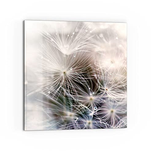 DEQORI Küchenrückwand Glas | Motiv Detailaufnahme Pusteblume | 60x60 cm | Bad- oder Herd-Rückwand | Herdblende Spritzschutz für Küche & Badezimmer | moderne Deko für Fliesenspiegel