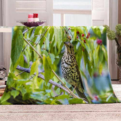 Vogel Tiere Warme Decke Winter 150 X 200 cm Decke Flauschig Fleecedecken Kuscheldecke