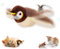 Juguetes Interactivos Para Gatos Con Forma De Pájaro Volador Para Gatos De Interior, Juguete Para Gatos Con Alas Que Chirrían, Juguete Recargable Con Alas Que Aletean Con Hierba Gatera (1pcs)