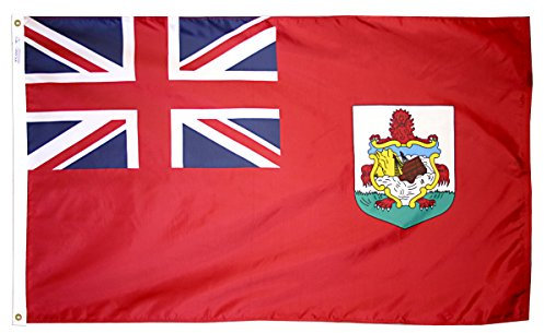 Annin Flagmakers 220025 internationale Flagge, 91 x 152 cm, nicht anwendbar.