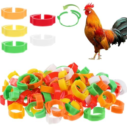 GGUFAY 100 Stück Geflügel Band, Einstellbar Hühnerringe, Plastikgeflügel Beinringe für Hühner, Enten, Hühner, Taube, Kleintiere, 5 Farben, leicht zu unterscheiden