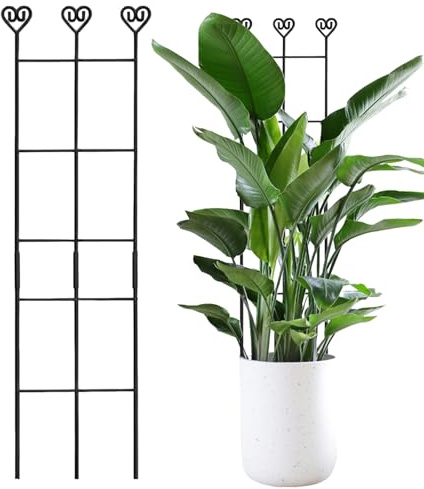 Gazocua Rankgitter Für Topfpflanzen | Verstellbare Rostfreie Metallstangen,83 x 20 cm Rankhilfe Für Topfpflanzen Indoor - Für Efeutute Ranken Efeu Philodendron Sowie Für Hochzeit Balkon Garten Innen
