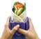 Wrap'd Wiederverwendbarer Silikon-Behälter für Mittagessen, Burrito-Flachbrot, Alternative zu Bienenwachs-Wraps