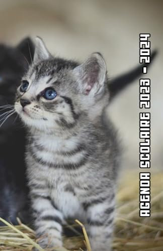 Agenda Scolaire 2023 2024 Chaton: Agenda journalier garçon fille collège primaire | 2 Jours Par Page | De Septembre 2023 à Août 2024 | Contacts | ... | Calendrier scolaire | Format A5 | 215 Pages