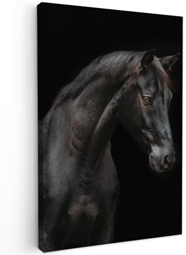 MuchoWow© Wandbilder Groß 80x120 cm XXL Schlafzimmer Home Deko Wohnung Bild Wohnzimmer Fotoleinwand Wand Bilder Leinwand Wall Decor Pferd - Tiere - Schwarz - Porträt