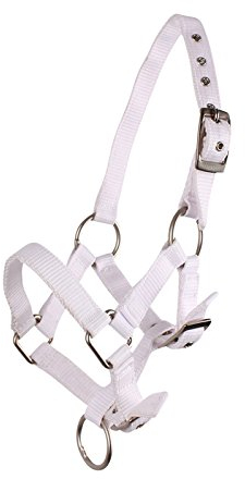 QHP Fohlenhalfter Halfter Fohlen Nylonhalfter 4 Fohlengrößen 6 Farben (Fallabella Fohlen, Weiss)