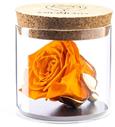 Amoroses Bijou - Rosa Stabilizzata Eterna con Calice Placcato Oro 24K in Barattolo di Vetro | Idea Regalo (Rosa Arancione)