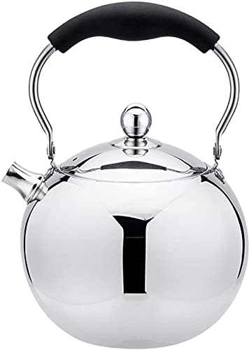 GaRcan Hervidor de té Elegante de Acero Inoxidable, diseño ergonómico, Tetera pequeña para el hogar y Tetera para té y café, Tetera para Estufa