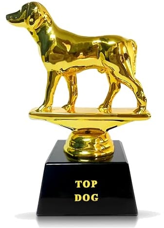 Vaulted Skulls & Co Top Dog Trophäe | Dog Trophy Award | Gold Dog Competition Award | Sports Team Trophäen | Lustige Büro-Trophäe | G.O.A.T Hundepokal | Gold/Schwarz | Kleine Trophäe | 7,6 cm