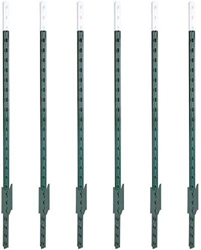 Agrarzone 100x T-Pfosten Metallpfahl T-Post 167 cm | Weidezaunpfahl für Festzaunsystem | Stabiler Weidezaunpfosten Festzaun-Pfahl | für Schafzaun Pferdezaun Wildzaun Rinderzaun Elektrozaun Weidezaun