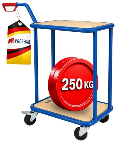 PROREGAL Profi Griffroller 2 Ebenen 102x50x60 cm Traglast 250kg Transportroller mit Griff 2X Lenkrollen mit Bremse & 2X Bockrollen, Lichtblau, Tischwagen mit 2 Ladeflächen Magazinwagen Transportwagen