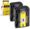 2x Batterie NP-FH50 pour Sony CyberShot