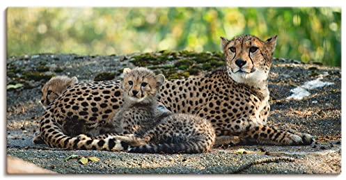 ARTLAND Wanddeko Leinwand Bilder Wandbild 60 x 30 cm Afrika Natur Portrait Tiere Wildnis Katze Gepard Baby S9HY
