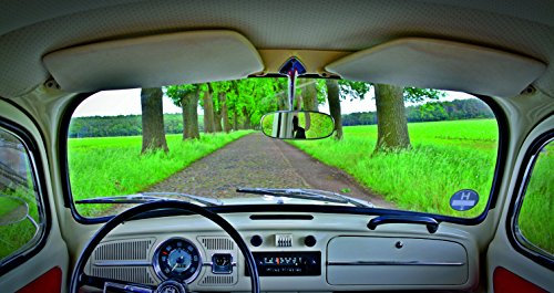 Wandbild 155x90cm VW KÄFER Fototapete Poster XL Tapete Oldtimer Klassiker Volkswagen WA61