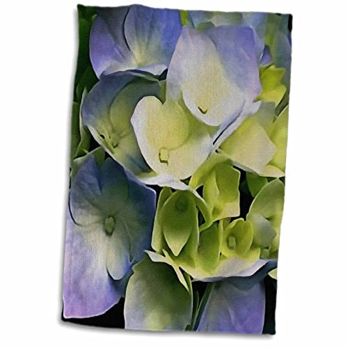 3dRose Handtuch, Leuchtend rosa und Blaue Hortensien-Pflanze