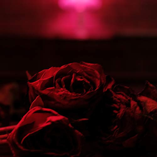 Roses/Vinyle Rouge et Noir