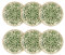 NOVASTYL - Lot 6 assiettes plates héraclée 27cm en grès décor vert - 2614395
