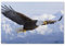 Puzzle 1000 Stück，Adler fliegt über Schneeberg，Für PapierErwachsene Spielzeug Dekompression Spiel（38x26cm）-E16