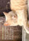 Gutsch Verlag Tier-Postkarte Katze - Immer mit der Ruhe! - Entspannte Katzenmotive zum Sammeln und Verschenken - Perfekt für Tierliebhaber, Dekoration oder als kleines Mitbringsel.