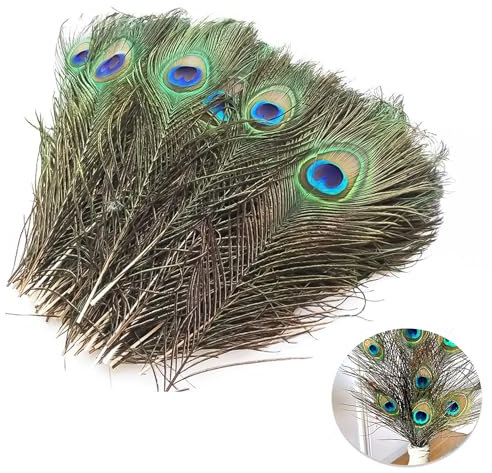 Sqxaldm 15 Stück Natürliche Pfauenfeder 25-30cm Schöne Pfau Schwanzfedern Augen Federn Dekorationen für Hüte DIY Craft Handwerk Kopf Dekorationen Pfau Deko,Hochzeitsfeier-Heimdekorationen, Cosplay