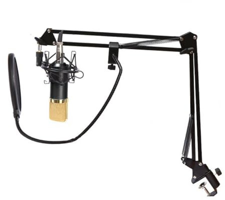 LRXIYODE Kit Micrófono Micrófono De Condensador para Emisoras Presentaciones y Pc con Filtro Antiviento