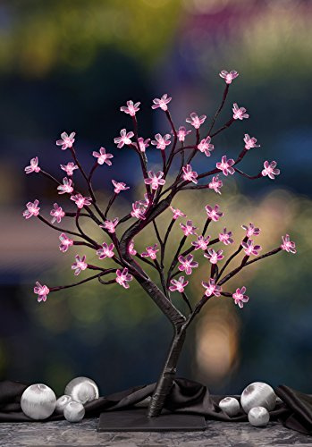 hellum LED Kirschblütenbaum mit pinken Kirschblüten, 45cm hoch, Baum mit 48 pinken LED, schwarzes Kabel mit Trafo, Lichterbaum für innen, Deko Fensterbank 300369