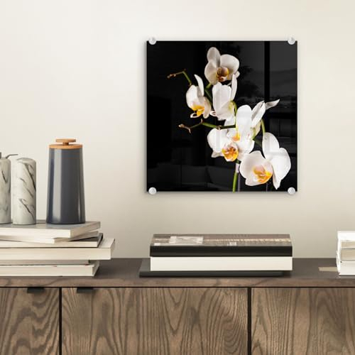 MuchoWow Glasbild Glasfoto Wandbild Bilder Deko 20x20 cm Orchidee - Blumen - Pflanzen - Botanisch