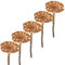 matches21 Hübsche Trockenblumen Protea zum Basteln - Dekosträuße für Kränze und Hochzeiten natürliche Farbe - 5er Set Herbstdeko Protea Compacta 6,5 cm