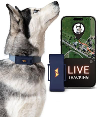 PAJ Localizador GPS para Perros 4G - Alarmas de Fuga + Seguimiento Global en Tiempo Real - Batería hasta 10 días - 100% Resistente al Agua (IP67) - con Luces LED - Apto para Cualquier Collar - Azul