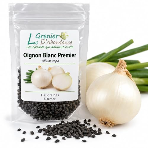150 graines à semer - Le Grenier d'Abondance - Oignon Blanc Premier - Allium cepa