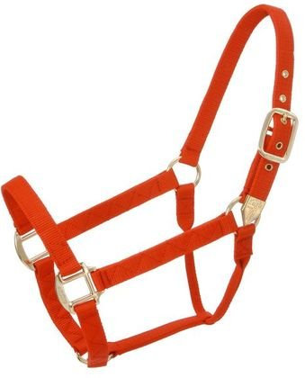 Tough 1 Premium Jährling Halfter ohne Druckknopf, Jägergrün, groß