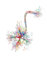 Teweakt Neurowissenschaft Kunst Neurologie Poster Anatomisches Gehirn Nervenzelle Synapse Neurologe Büro Kunst Leinwand Malerei Klinik Wanddekoration (4,30x45cm Ungerahmt)
