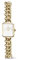 Daniel Wellington Jolie Montre 15.4 Steinless Steel with Pvd Plated Gold Gold