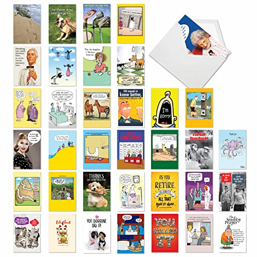 NobleWorks Gemischte Botschaften: Humor gemischte Anlässe Sortiment von 36 Karten – Katzen, Hunde, Pferde – Bulldoggen, Terrier, Chihuahua