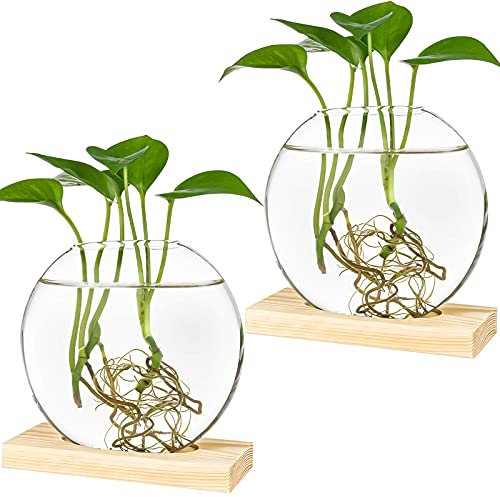 Kingbuy Lot de 2 Pots de Fleurs Ronds en Verre avec Support en Bois pour Pot Plante Intérieur, Propagation des Plantes Hydroponiques - Beige